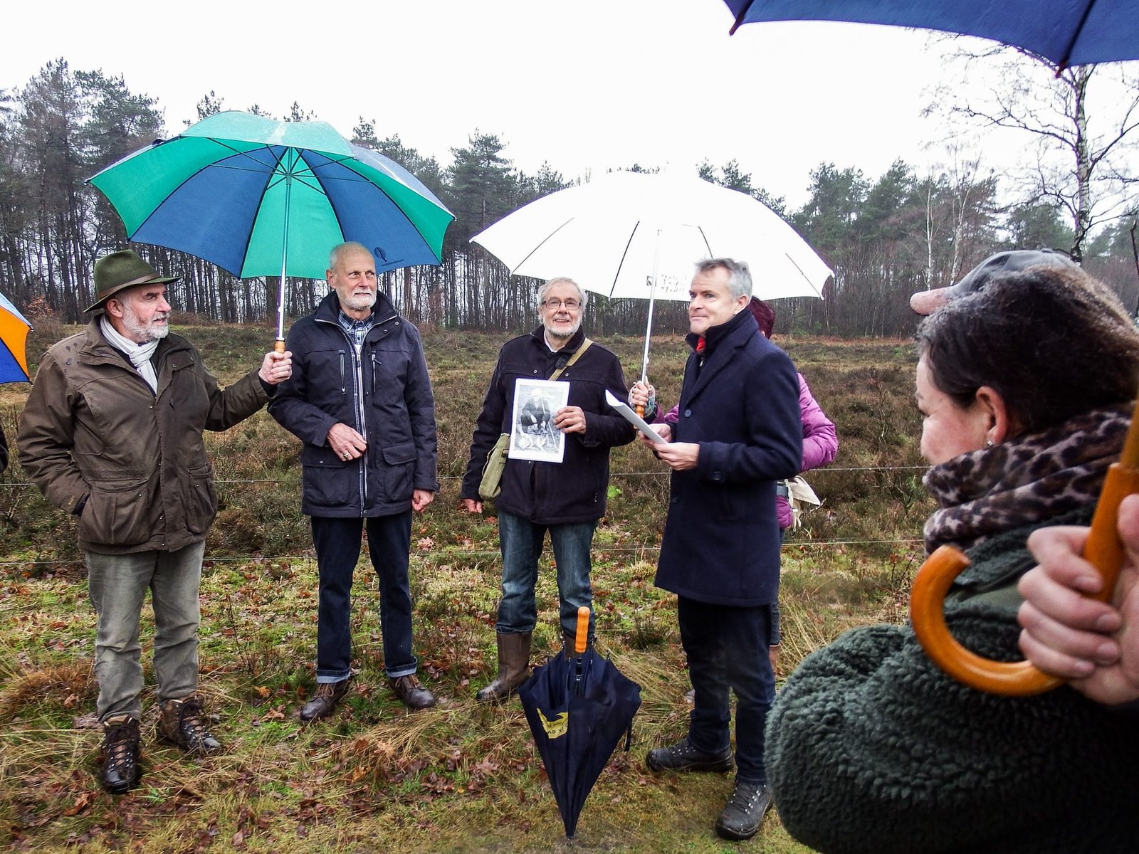 Natuur Varsenerveld wordt met nieuw beheerplan nog mooier – De Ommenaar